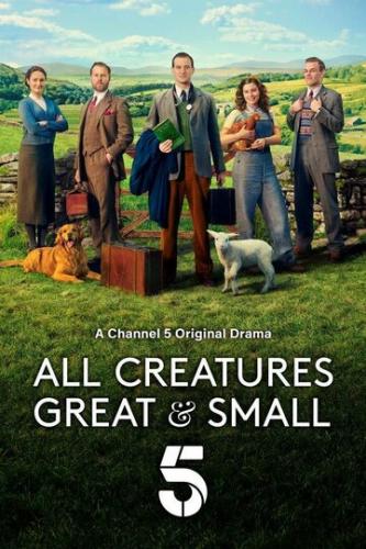    -    / All Creatures Great & Small (2020)