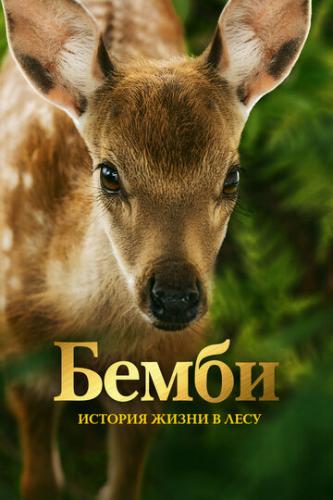 .     / Bambi, l'histoire d'une vie dans les bois (2024)