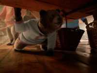 ���� � �������